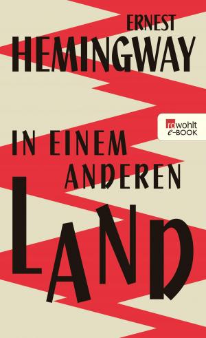Cover of the book In einem anderen Land by Ursula Poznanski, Arno Strobel