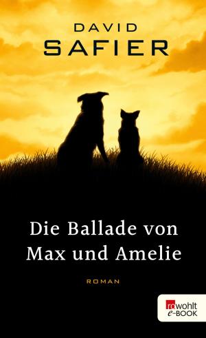 Book cover of Die Ballade von Max und Amelie