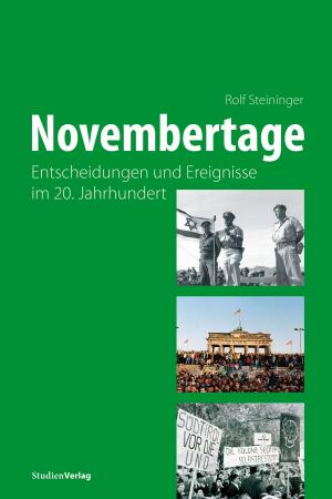 Cover of the book Novembertage by Hans Karl Peterlini