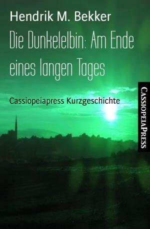 Cover of the book Die Dunkelelbin: Am Ende eines langen Tages by Danny Wilson