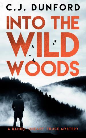 Cover of the book Into the Wild Woods by Andreas Kufsteiner