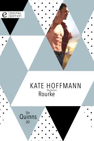 Book cover of Die Quinns: Rourke