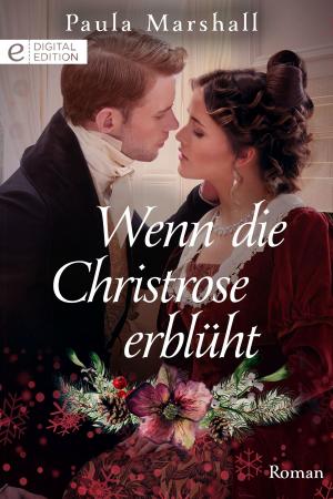 Cover of the book Wenn die Christrose erblüht by Kate Hoffmann, Brenda Jackson, Farrah Rochon, Lindsay Evans