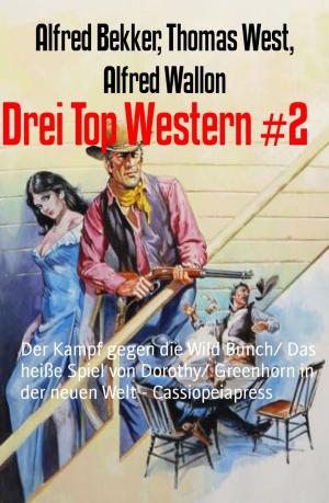 Cover of the book Drei Top Western #2 by Ulrich R. Rohmer