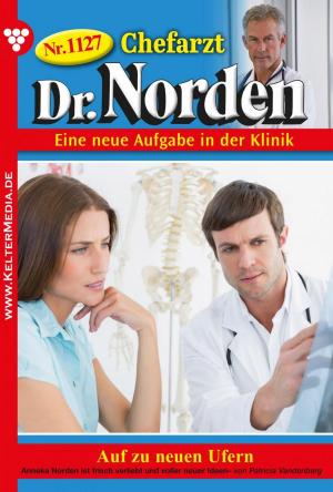 Book cover of Chefarzt Dr. Norden 1127 – Arztroman