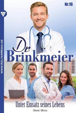 Book cover of Dr. Brinkmeier 16 – Arztroman
