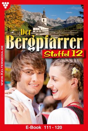 Book cover of Der Bergpfarrer Staffel 12 – Heimatroman