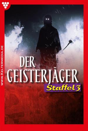 Cover of the book Der Geisterjäger Staffel 3 – Gruselroman by Sissi Merz