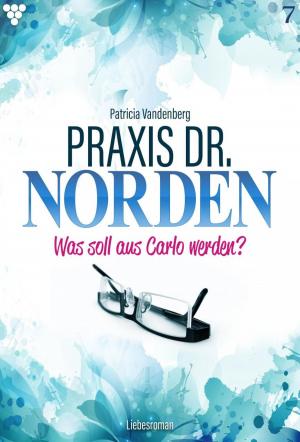Cover of the book Praxis Dr. Norden 7 – Arztroman by Karina Kaiser