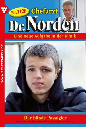 Book cover of Chefarzt Dr. Norden 1128 – Arztroman