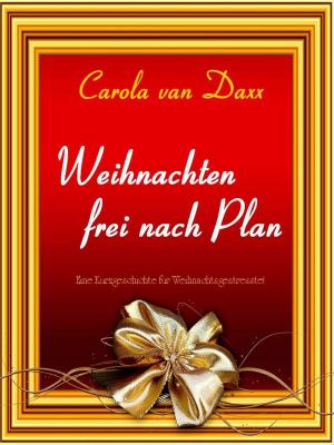Cover of the book Weihnachten frei nach Plan by Markus Wilde