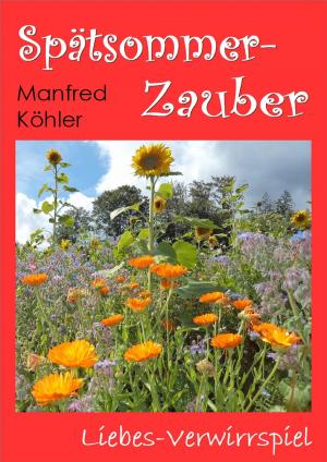 Cover of the book Spätsommer-Zauber by Karl May