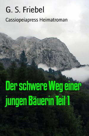 Cover of the book Der schwere Weg einer jungen Bäuerin Teil 1 by Tanja Rauch