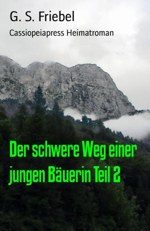 Book cover of Der schwere Weg einer jungen Bäuerin Teil 2
