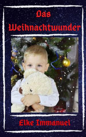 Cover of the book Das Weihnachtswunder by Robin Carretti
