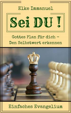Cover of the book Sei DU! by Karin Hufnagel