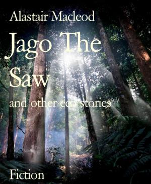 Book cover of Jago The Saw