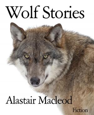 Book cover of Wolf Stories