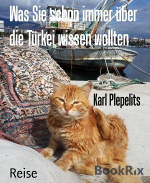 Cover of the book Was Sie schon immer über die Türkei wissen wollten by Daniel Coenn
