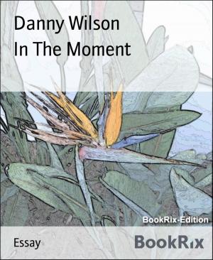 Cover of the book In The Moment by Angelika Nylone