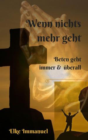 Cover of the book Wenn nichts mehr geht by Sammy Anoksen