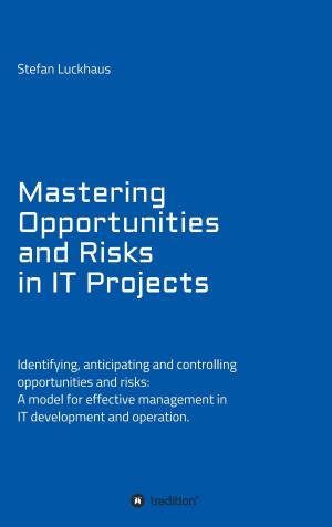 Cover of the book Mastering Opportunities and Risks in IT Projects by Christian Meier