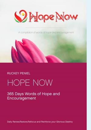 Cover of the book HOPE NOW 365 DAYS DEVOTIONAL by James Allen