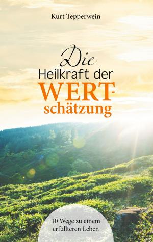 Cover of the book Die Heilkraft der Wertschätzung by Martin Westenberger