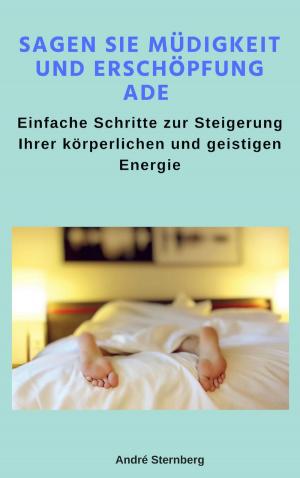 Cover of the book Sagen Sie Müdigkeit und Erschöpfung ade by Timo Schmitz