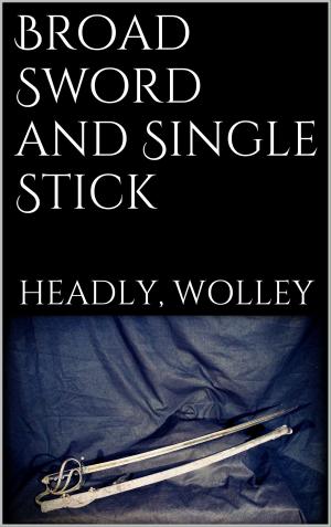 Cover of the book Broad Sword and Single Stick by Helmuth Hüttl