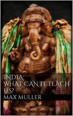 Cover of the book India: What can it teach us? by Heiko Hansen