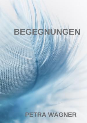 Cover of the book Begegnungen by Martin A. Torunsky