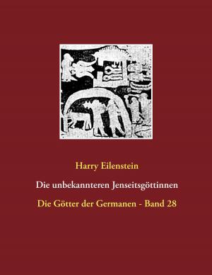 Book cover of Die unbekannteren Jenseitsgöttinnen