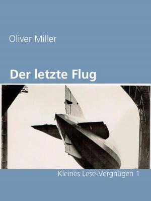 Cover of the book Der letzte Flug by Jörg Walzenbach