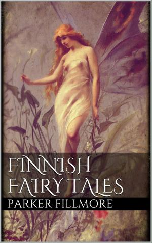 Cover of the book Finnish Fairy Tales by Heike Schmitt, Madeleine Pfeilsticker