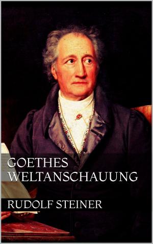 Cover of the book Goethes Weltanschauung by Julien Alleau, Laurent Bouvet, Marlène Trézéguet, Françoise Leroy