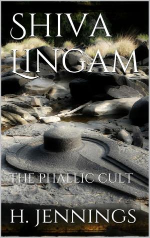 Cover of the book Shiva Lingam by Thomas Merkle