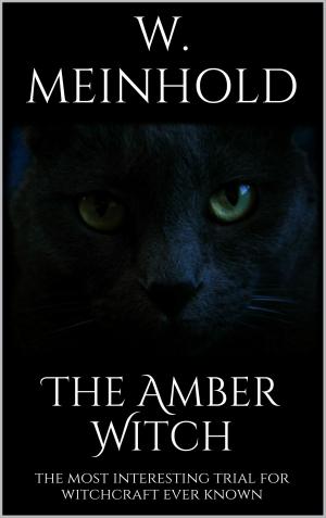 Cover of the book The Amber Witch by Eckart Modrow