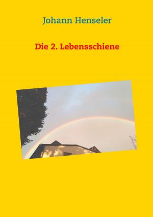 Cover of the book Die 2. Lebensschiene by Danija Quednau