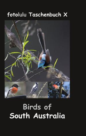 Cover of the book Birds of South Australia by Bjørn Zenker