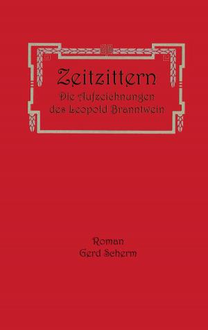Cover of the book Zeitzittern by René Schreiber