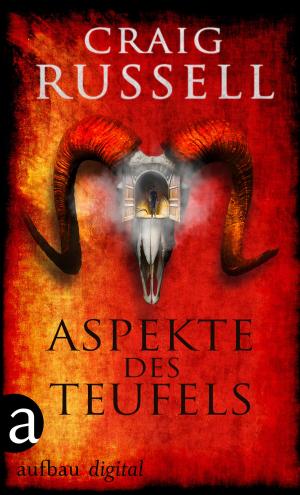 Cover of the book Aspekte des Teufels by Erwin Strittmatter