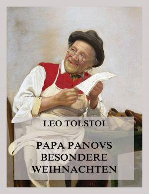 Book cover of Papa Panovs besondere Weihnachten