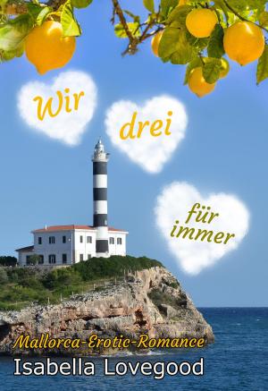 Cover of the book Wir drei für immer by A. Violet End
