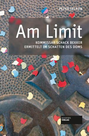 Cover of the book Am Limit by Michael Kibler