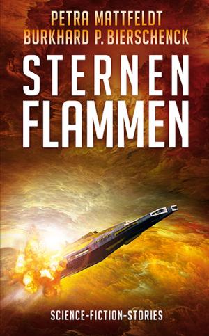 bigCover of the book Sternenflammen by 