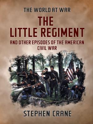 Book cover of The Little Regiment and Other Episodes of the American Civil War