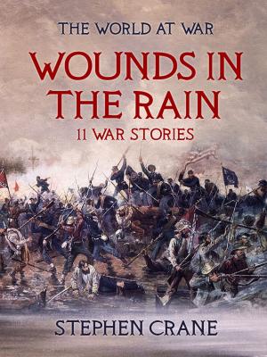 Book cover of Wounds in the Rain 11 War Stories