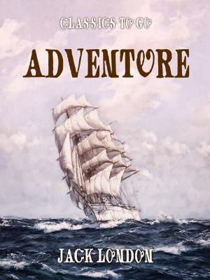 Cover of the book Adventure by Honoré de Balzac