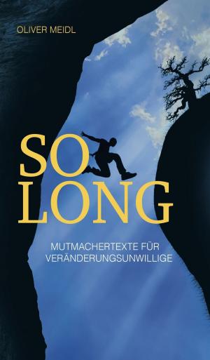 Cover of the book SO LONG (Deutschsprachige Ausgabe) by Dieter Breitwi, Mag. Emma Ott, Ulrich Wanderer, Michaela Kober, Martina Anezeder, Mag. Hubert Steger